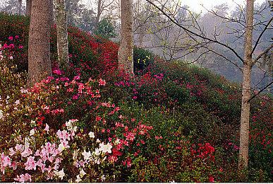 《生化危机7》与《生化2、3》重制PC版获升级补丁